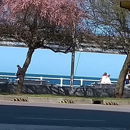 Playa San Lorenzo A 100 M De Playa * גיחון